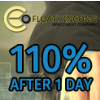 FloatyIncome