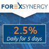 forexsynergy