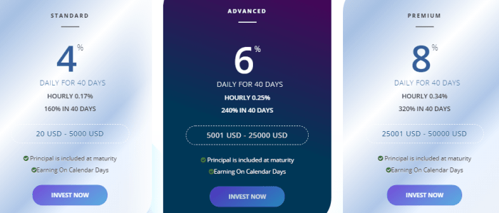 Albiton project investment program Albiton project investment program