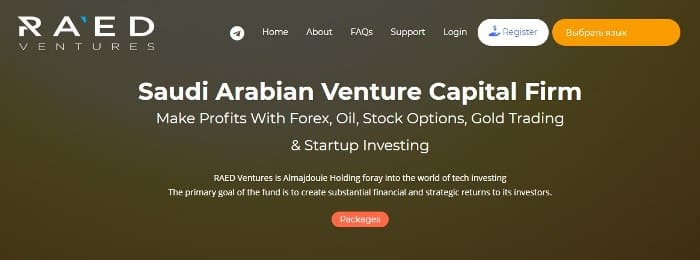 Обзор проекта RaedVentures