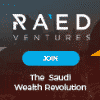 Panoramica del progetto RaedVentures