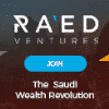 Обзор проекта RaedVentures