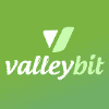 Panoramica del progetto Valleybit