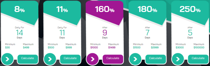 Investment Plans for the BitAtomix Project