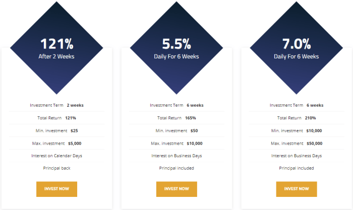 Coinezos Investment Plans