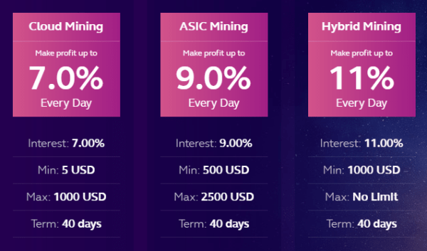 Mizzleincome项目的投资计划