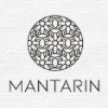 Panoramica del progetto Mantarin