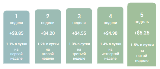 Investment plans for the project El-Terro