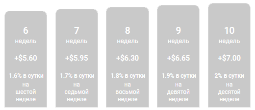 Investment plans for the project El-Terro