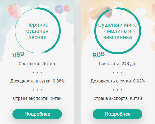 Инвестиционные планы проекта Mantarin