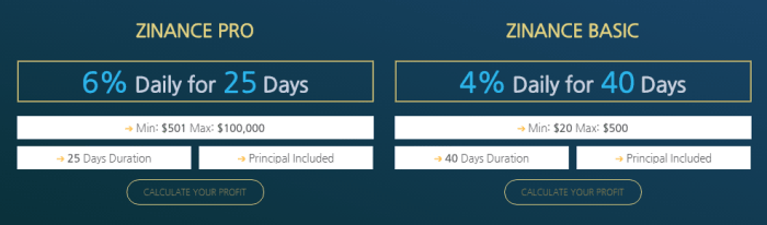 Investment plans for the Zinance project