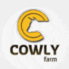 Обзор проекта Cowly Farm