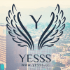 Descripción del proyecto Yesss Capital