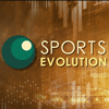 Обзор проекта Sports Evolution