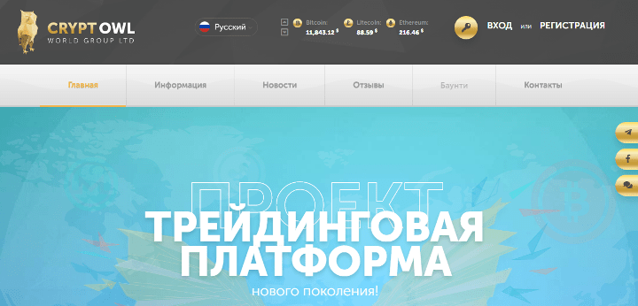 Обзор проекта Cryptowl Group