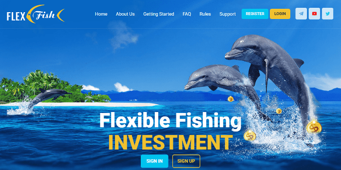 Omówienie projektu Flex Fish