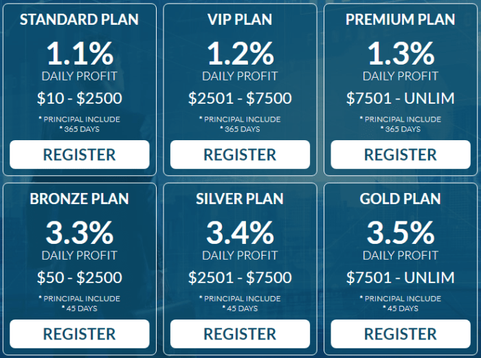 Investment plans of the Just Investing Online project