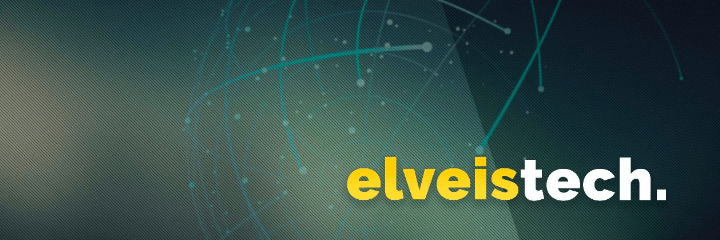 Инвестиционный проект Elveis