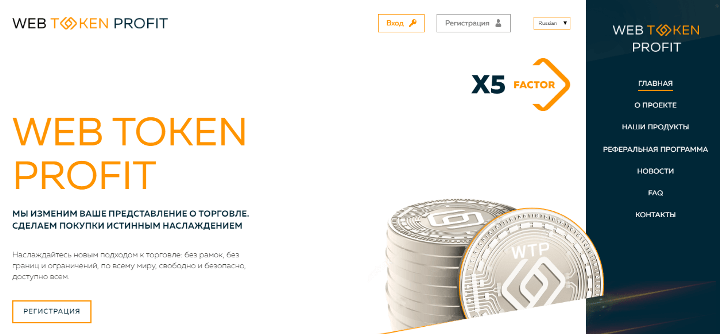 Web Token Profit Project Overview