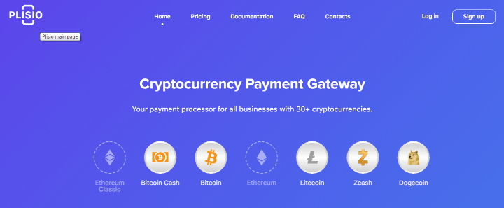 Plisio Payment Gateway Overview