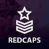 Обзор проекта RedCaps