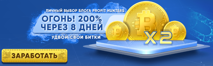 Инвестиционные планы проекта Doubler