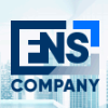 Обзор проекта FNS Company