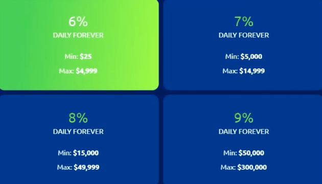 Dogeminers Project Investment Plans