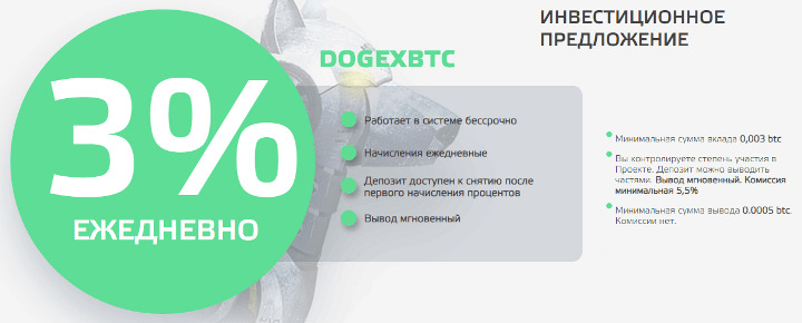 Инвестиционный план проекта Doge-X