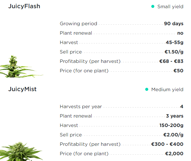 Juicy Fields Investment Plans