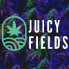 Juicy Fields Projektübersicht