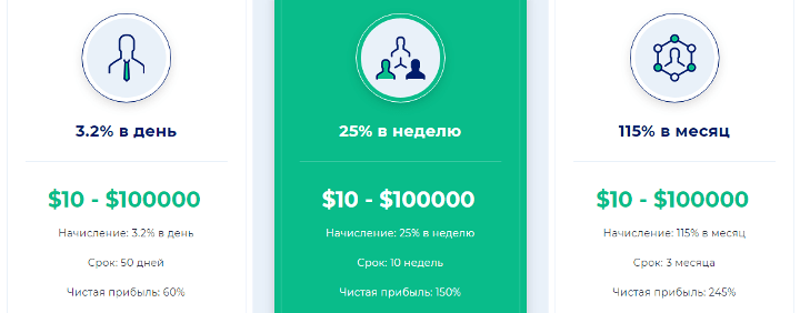 Инвестиционные планы проекта Rex Consulting