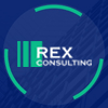 Panoramica del progetto Rex Consulting