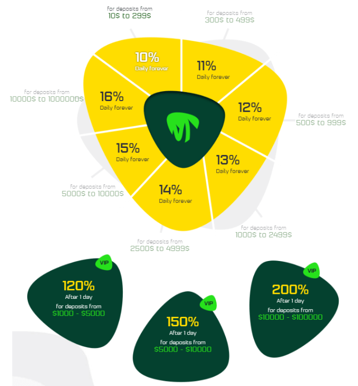 Инвестиционные планы проекта Cryptoins