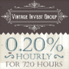 Vintage Invest Project Overview