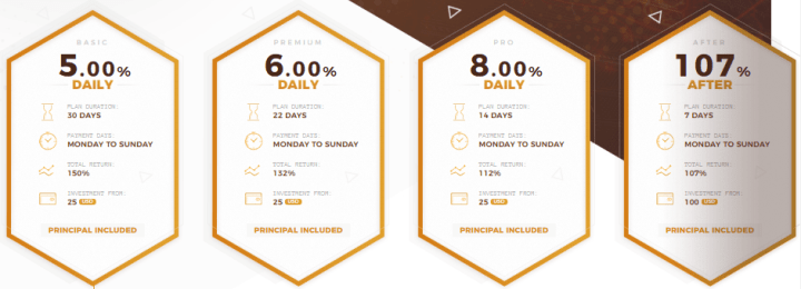 Bitcoinge Investment Plans