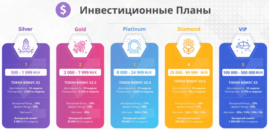 Buytex Network жобасының инвестициялық жоспарлары