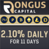 Visão geral do projeto Rongus Capital