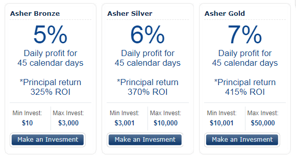 Investment plans of the Asher Trade project