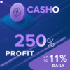 Casho Projektübersicht