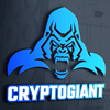CryptoGiant Project Overview