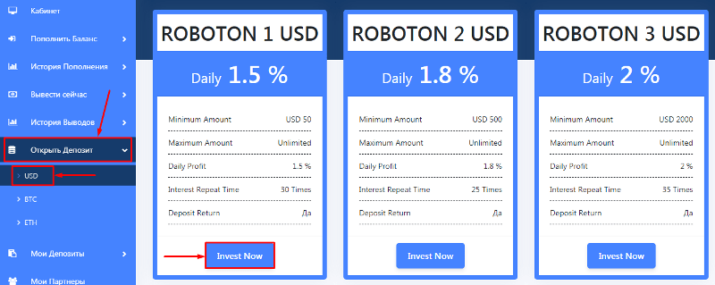 Making a deposit in the FX Roboton project