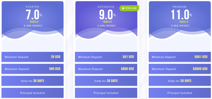 Investment plans of the Ginger Capital project