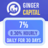 Ginger Capital project overview