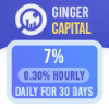 Обзор проекта Ginger Capital