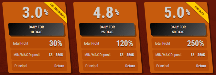 Investment plans of the Oilcorp project