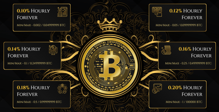 Инвестиционные планы проекта Royal Coin