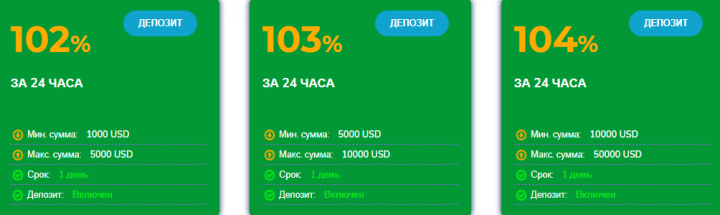 Инвестиционные планы проекта Bitinter