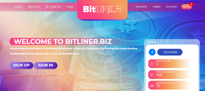 Panoramica del progetto Bitliner