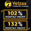 Обзор проекта Velzaa